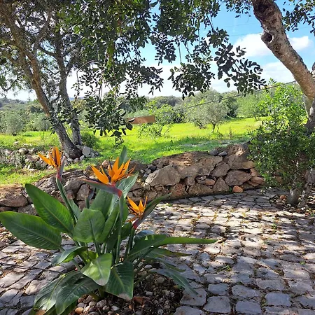 Deluxe 3* Santa Bárbara de Nexe